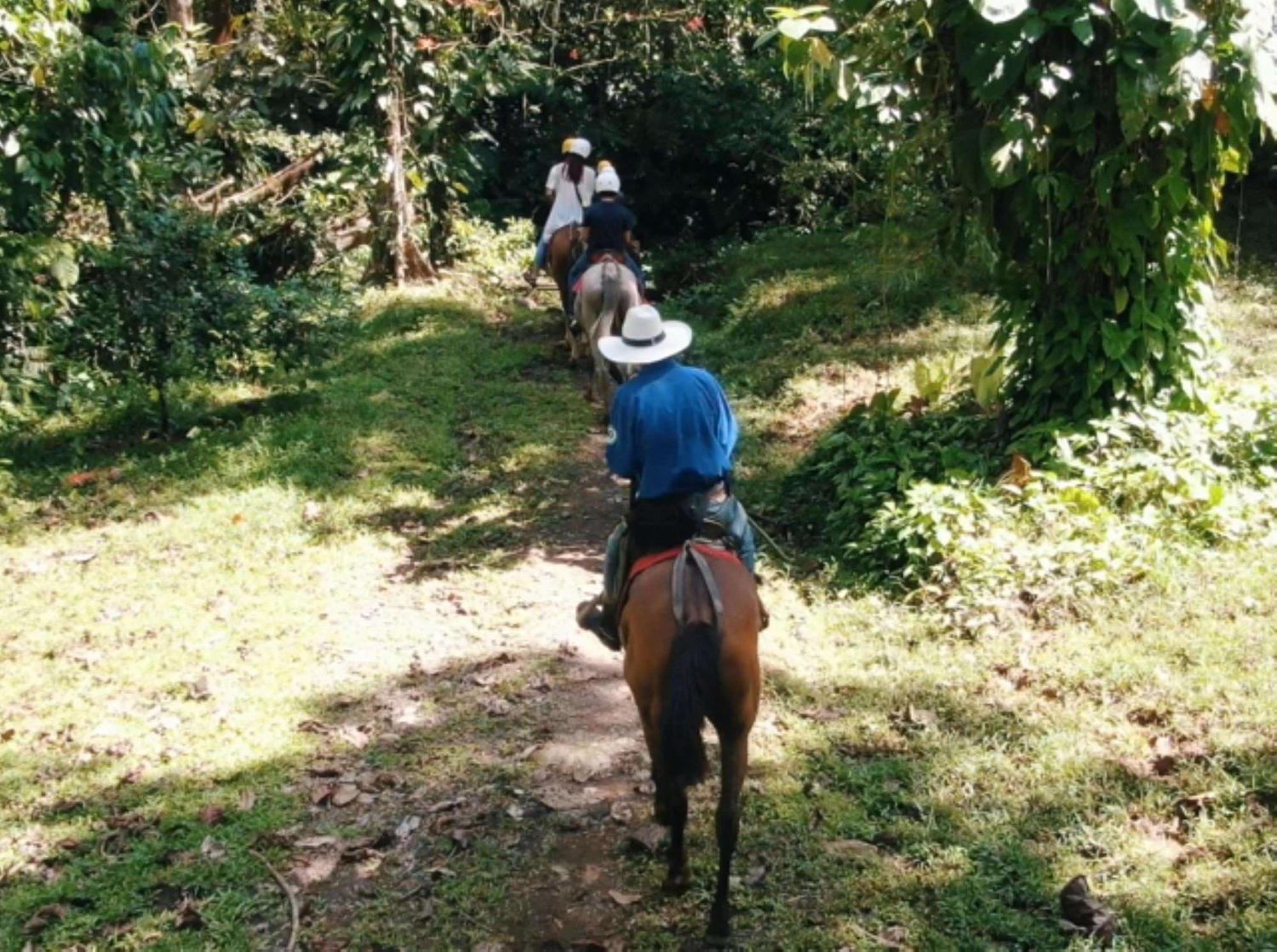Best Western Hotel & Casino Kamuk Manuel Antonio Zewnętrze zdjęcie