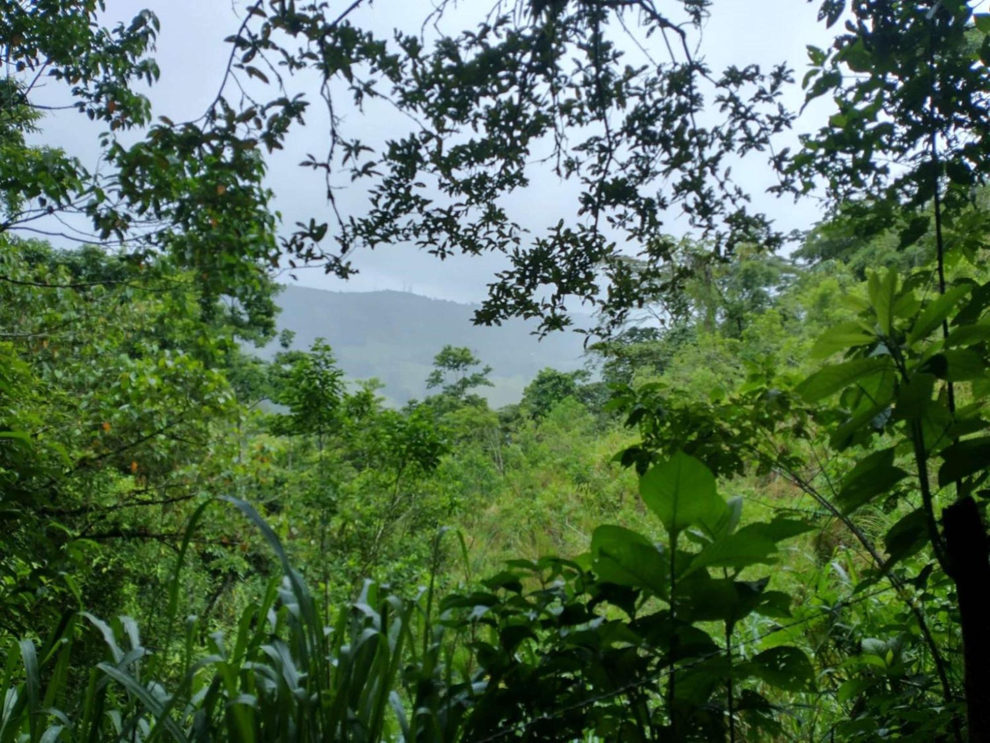 Best Western Hotel & Casino Kamuk Manuel Antonio Zewnętrze zdjęcie